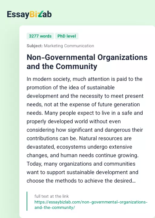 Non-Governmental Organizations and the Community - Essay Preview