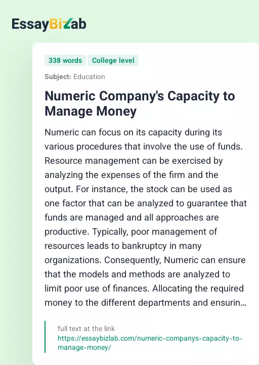 Numeric Company's Capacity to Manage Money - Essay Preview
