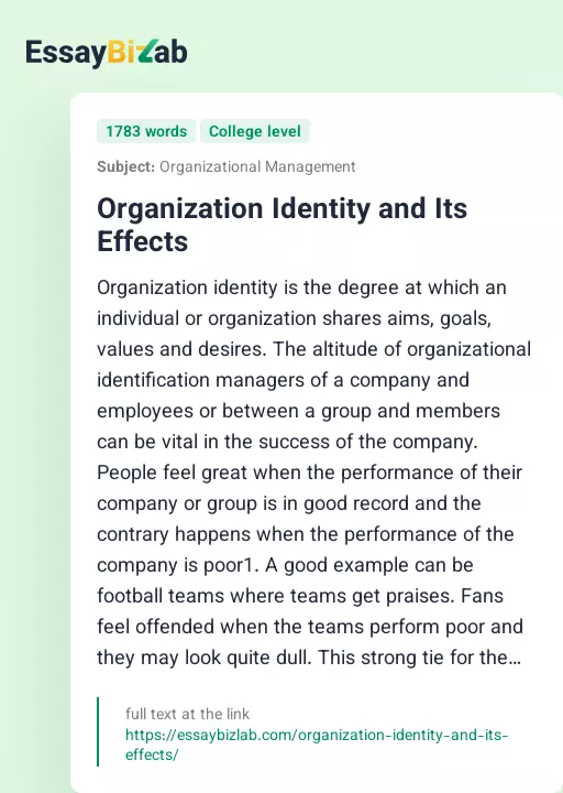 Organization Identity and Its Effects - Essay Preview