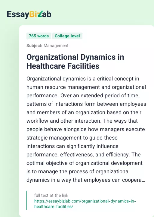 Organizational Dynamics in Healthcare Facilities - Essay Preview