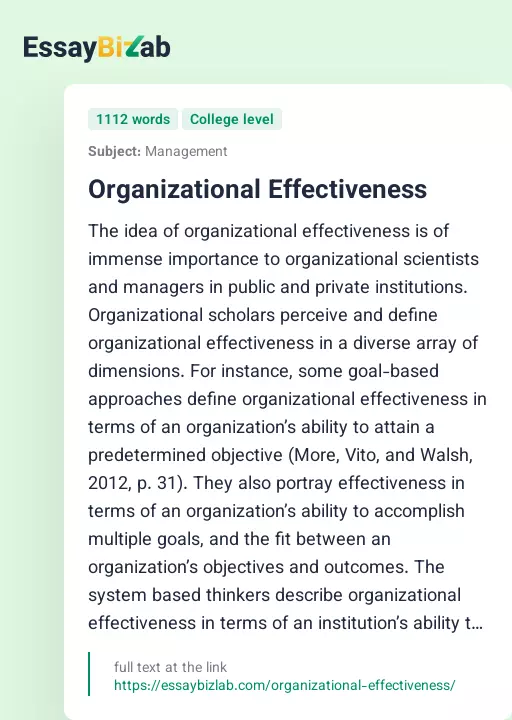 Organizational Effectiveness - Essay Preview