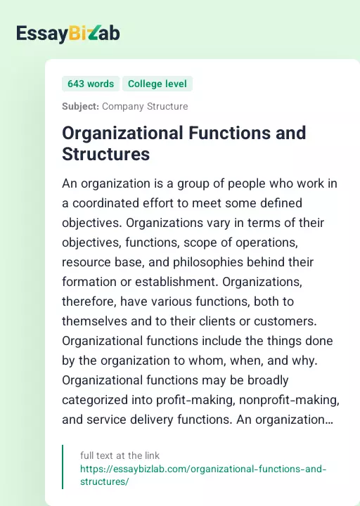 Organizational Functions and Structures - Essay Preview