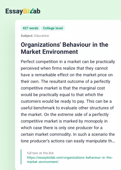 Organizations' Behaviour in the Market Environment - Essay Preview