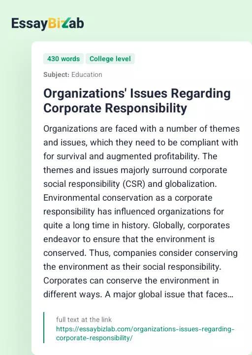 Organizations' Issues Regarding Corporate Responsibility - Essay Preview