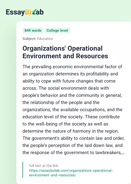 Organizations' Operational Environment and Resources - Essay Preview