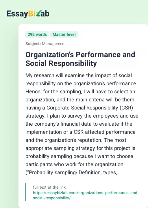 Organization's Performance and Social Responsibility - Essay Preview
