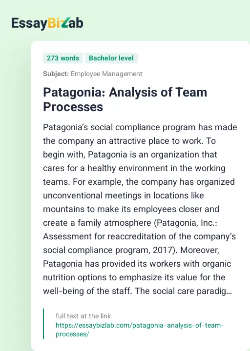 Patagonia: Analysis of Team Processes - Essay Preview