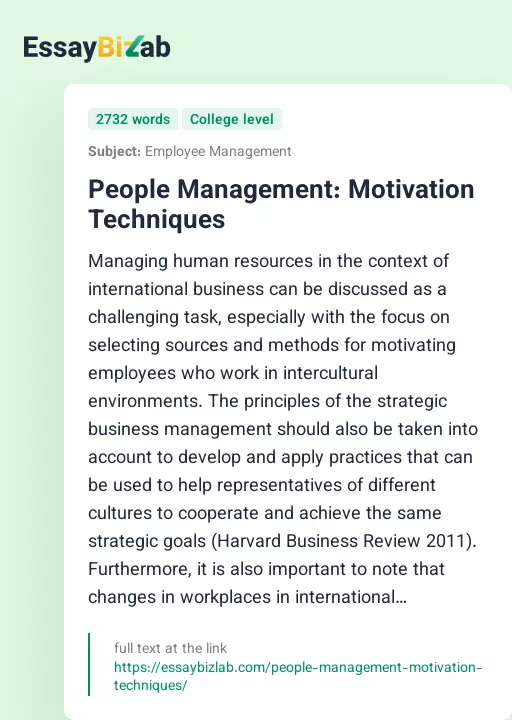 People Management: Motivation Techniques - Essay Preview