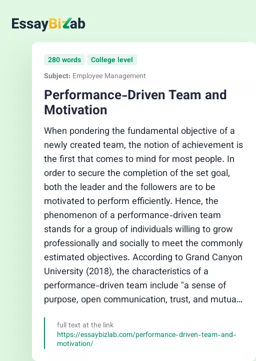 Performance-Driven Team and Motivation - Essay Preview