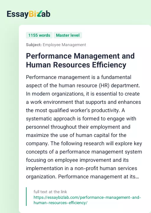 Performance Management and Human Resources Efficiency - Essay Preview