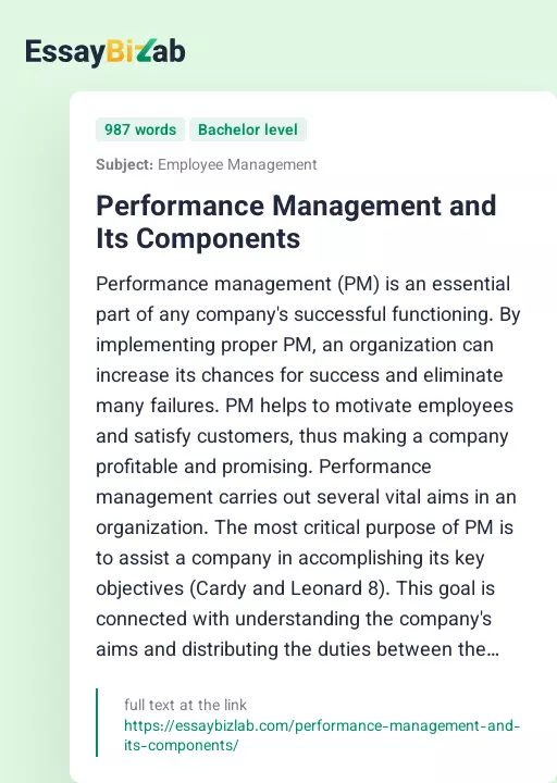 Performance Management and Its Components - Essay Preview