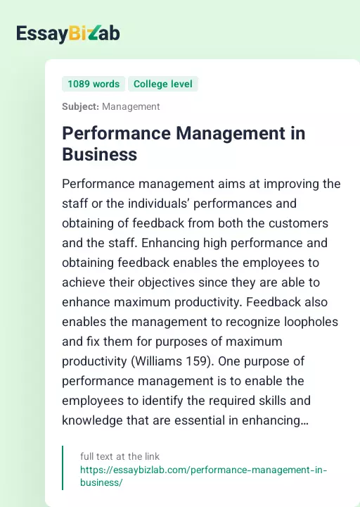 Performance Management in Business - Essay Preview