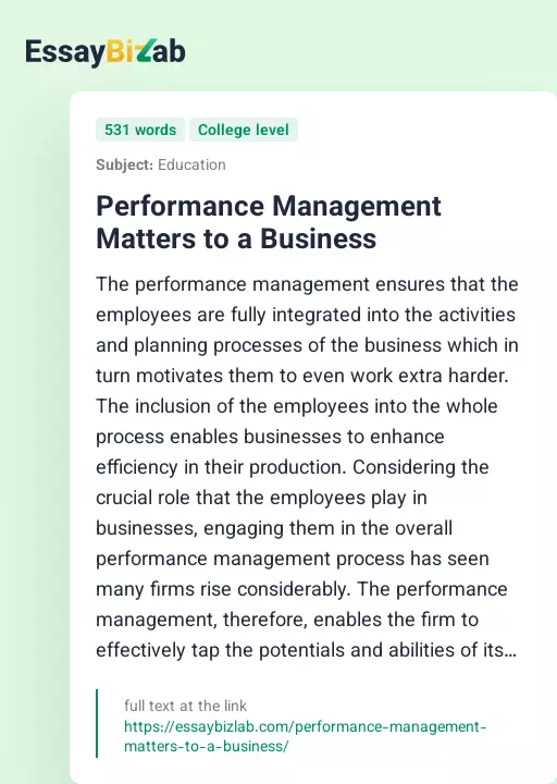 Performance Management Matters to a Business - Essay Preview