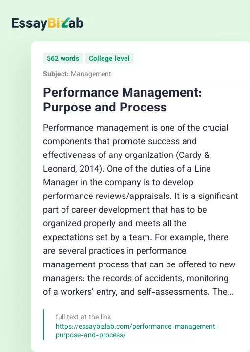 Performance Management: Purpose and Process - Essay Preview