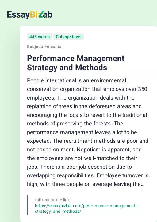 Performance Management Strategy and Methods - Essay Preview