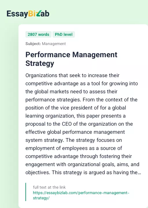 Performance Management Strategy - Essay Preview