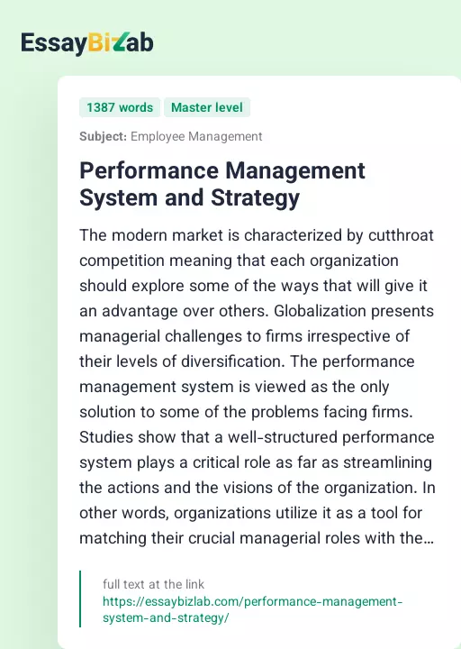Performance Management System and Strategy - Essay Preview