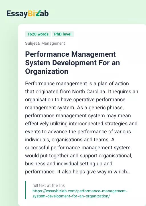 Performance Management System Development For an Organization - Essay Preview
