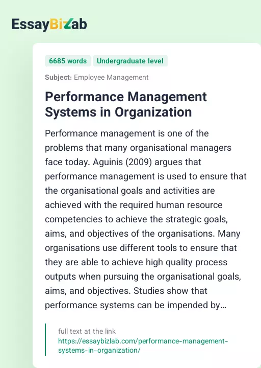 Performance Management Systems in Organization - Essay Preview