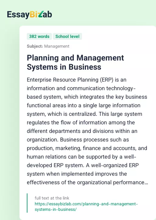 Planning and Management Systems in Business - Essay Preview