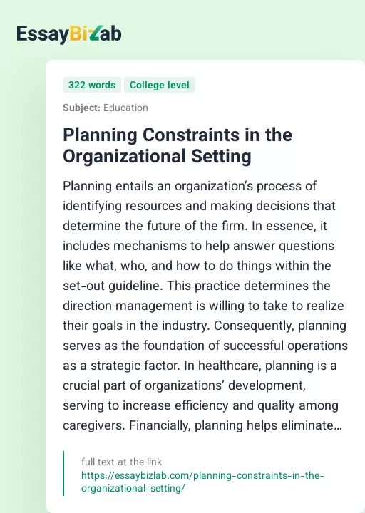 Planning Constraints in the Organizational Setting - Essay Preview