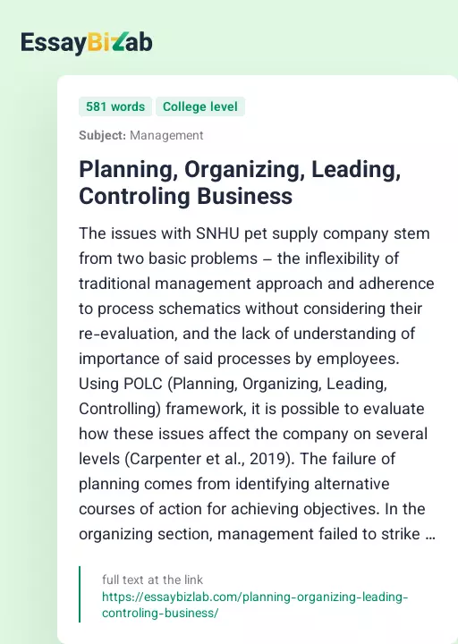 Planning, Organizing, Leading, Controling Business - Essay Preview