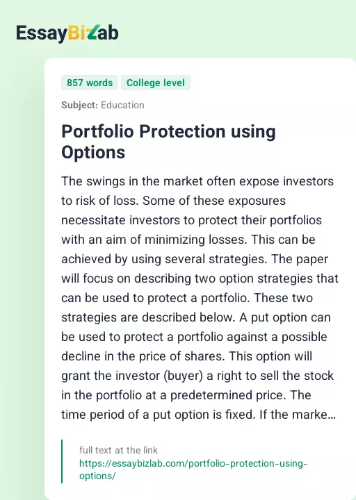 Portfolio Protection using Options - Essay Preview