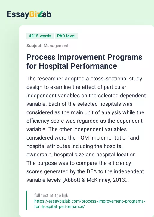 Process Improvement Programs for Hospital Performance - Essay Preview