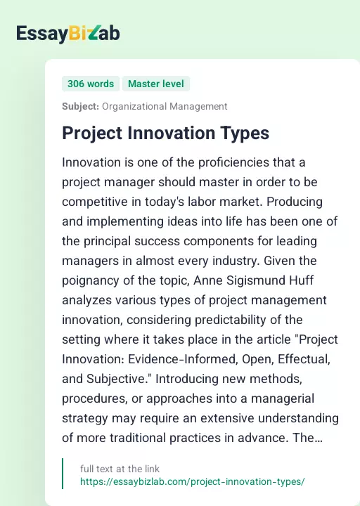 Project Innovation Types - Essay Preview