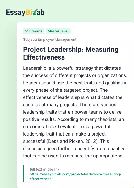 Project Leadership: Measuring Effectiveness - Essay Preview