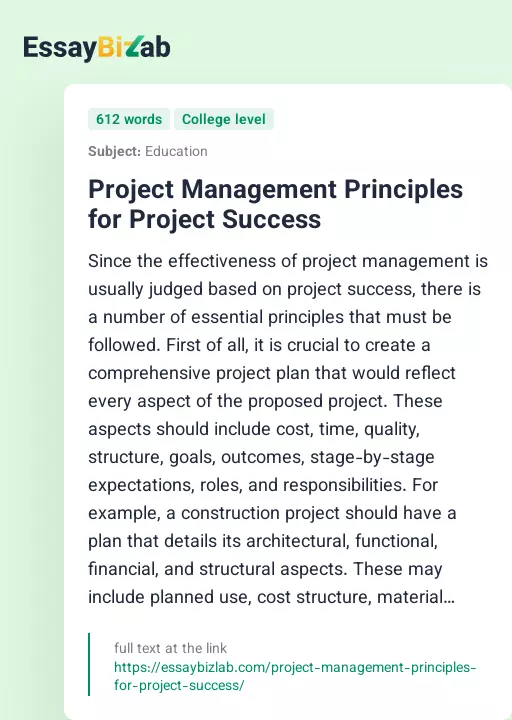 Project Management Principles for Project Success - Essay Preview