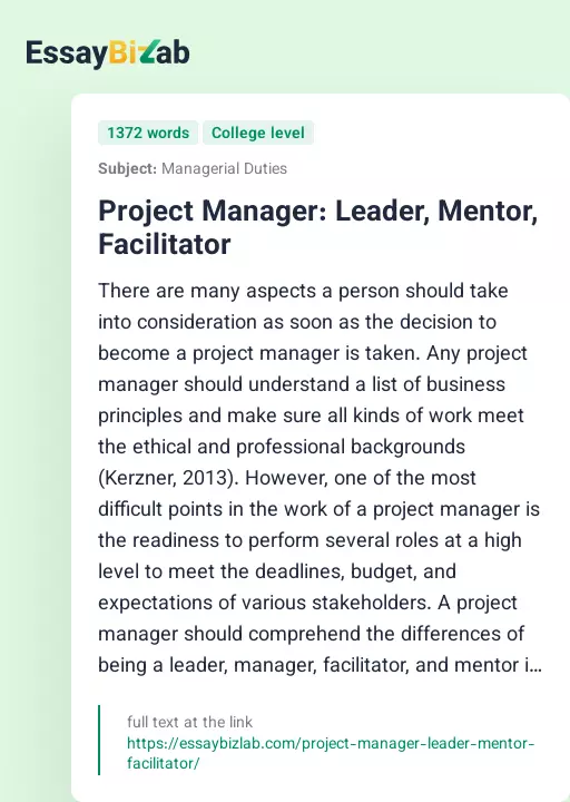 Project Manager: Leader, Mentor, Facilitator - Essay Preview