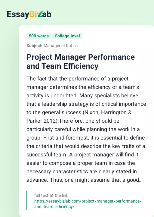 Project Manager Performance and Team Efficiency - Essay Preview