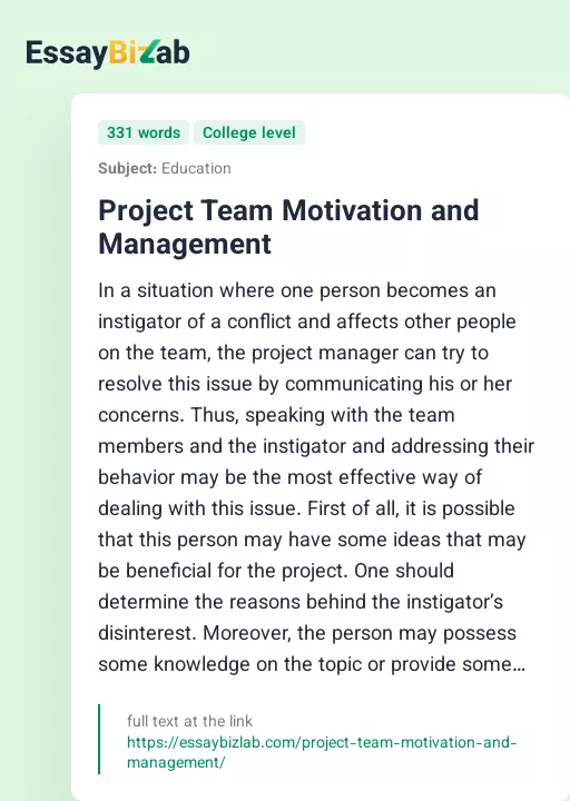 Project Team Motivation and Management - Essay Preview