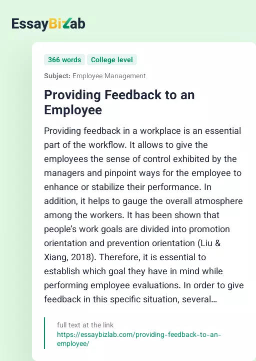 Providing Feedback to an Employee - Essay Preview