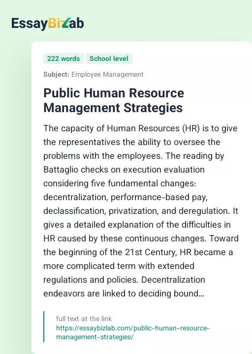 Public Human Resource Management Strategies - Essay Preview
