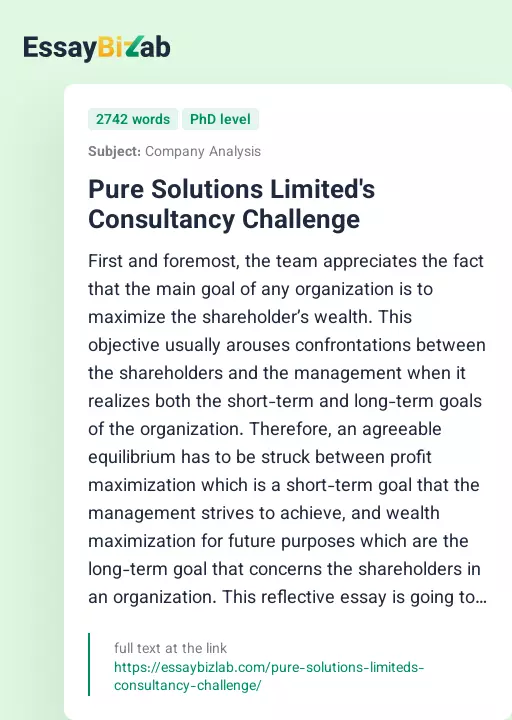Pure Solutions Limited's Consultancy Challenge - Essay Preview