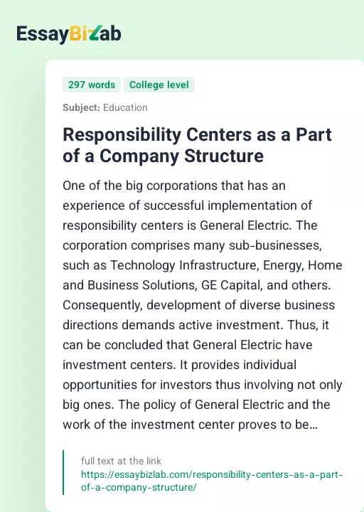 Responsibility Centers as a Part of a Company Structure - Essay Preview