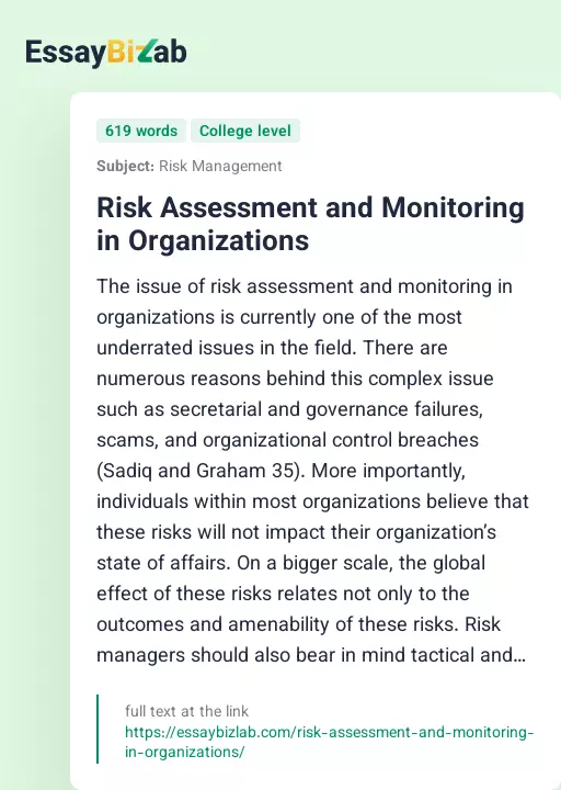 Risk Assessment and Monitoring in Organizations - Essay Preview
