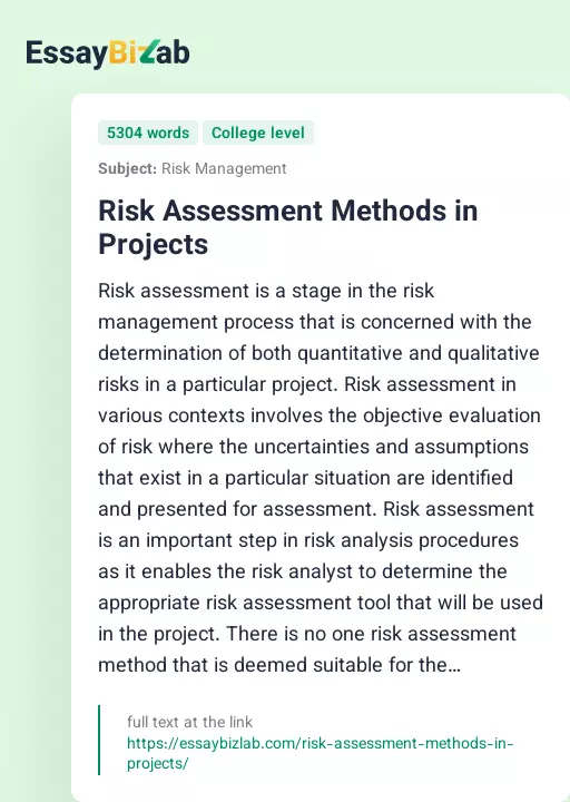 Risk Assessment Methods in Projects - Essay Preview