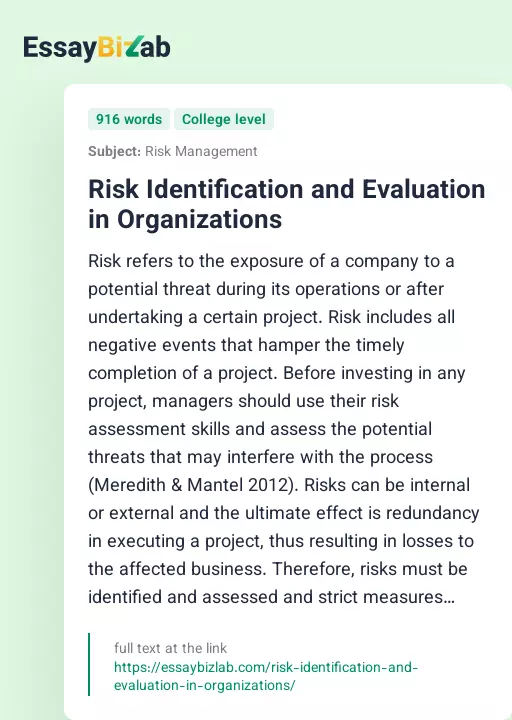 Risk Identification and Evaluation in Organizations - Essay Preview
