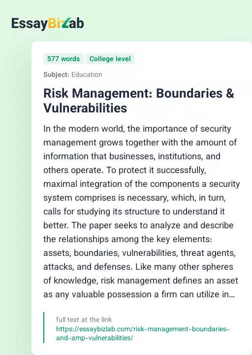 Risk Management: Boundaries & Vulnerabilities - Essay Preview