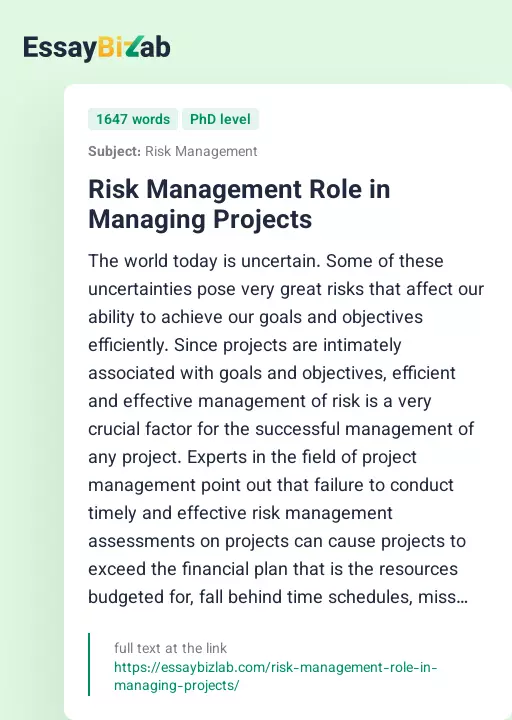 Risk Management Role in Managing Projects - Essay Preview