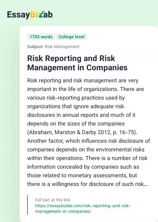 Risk Reporting and Risk Management in Companies - Essay Preview