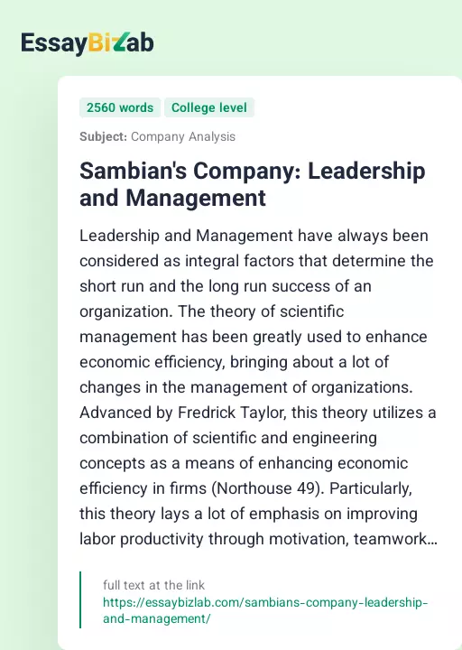 Sambian's Company: Leadership and Management - Essay Preview