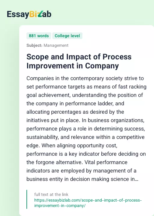 Scope and Impact of Process Improvement in Company - Essay Preview