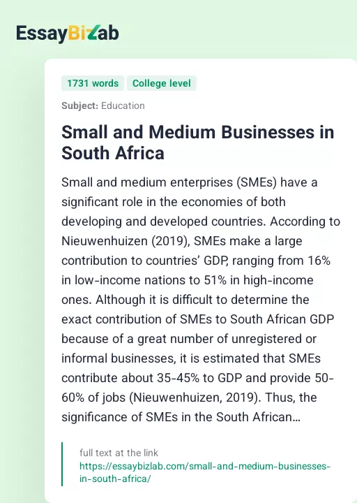 Small and Medium Businesses in South Africa - Essay Preview