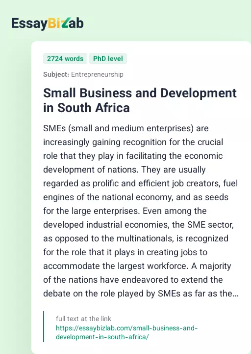 Small Business and Development in South Africa - Essay Preview