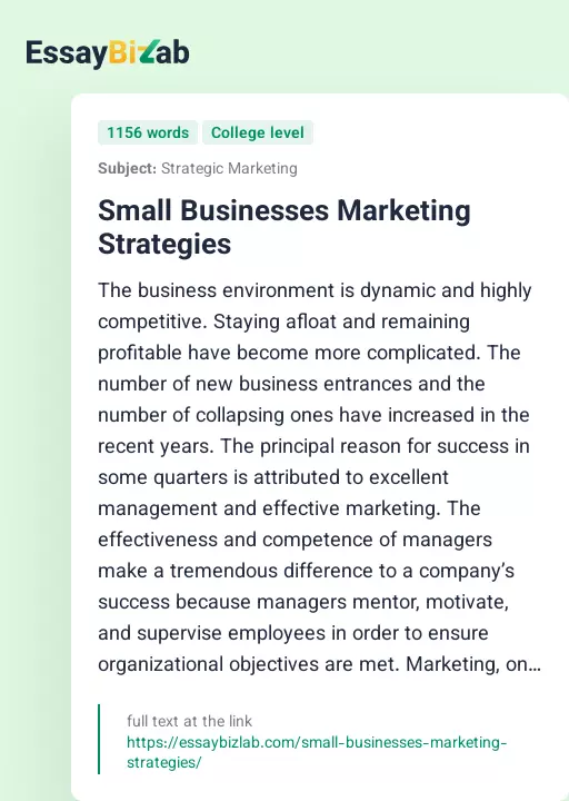 Small Businesses Marketing Strategies - Essay Preview