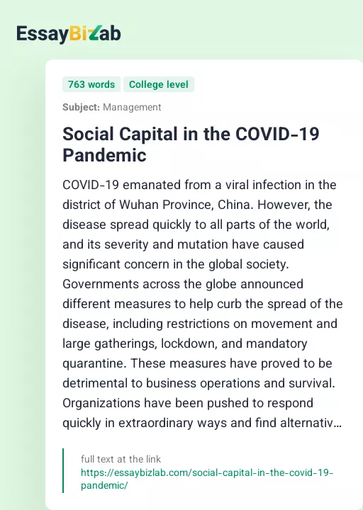 Social Capital in the COVID-19 Pandemic - Essay Preview